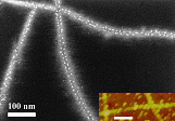 Carbon Nanotubes